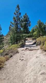 2023-04-GranCan-Roque_Nublo-013.jpg